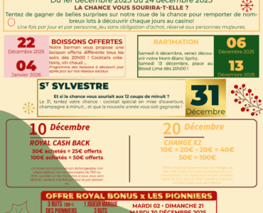 PROGRAMME DES ANIMATIONS • DÉCEMBRE 2025 🎄